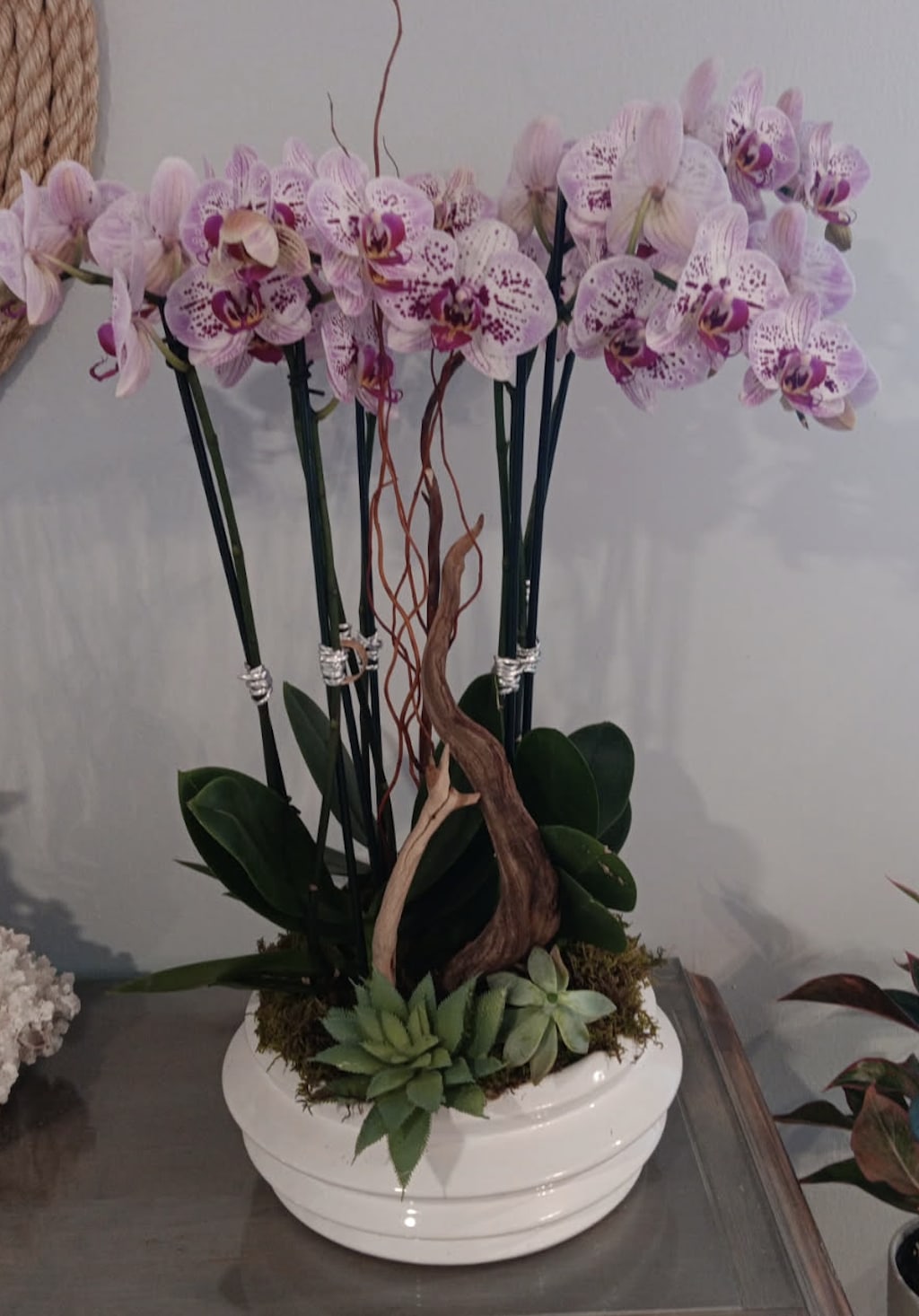 VD 009 - Orchid Arrangement. Each bloom, carefully selected, offers a mesmerizing display of nature's artistry.