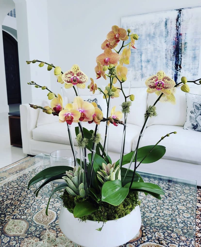 MD15 - Make a bold statement in your Miami home with our large orange tone orchid arrangement. This captivating piece draws your eyes with its stunning beauty. Featuring Kaleidoscope phalaenopsis orchids, the base is adorned with an assortment of ornaments, creating a unique altar-like display. The lush green tones bring an earthy, sustainable, and organic touch to your oasis.