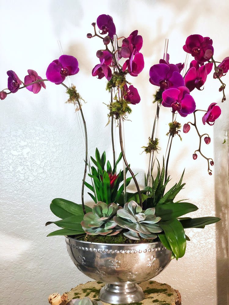 C40 - Large purple phalaenopsis arrangement, available in other colors. On large metal vase, metal vase design might vary. Material and size remains the same. Ornaments: succulents and green moss.