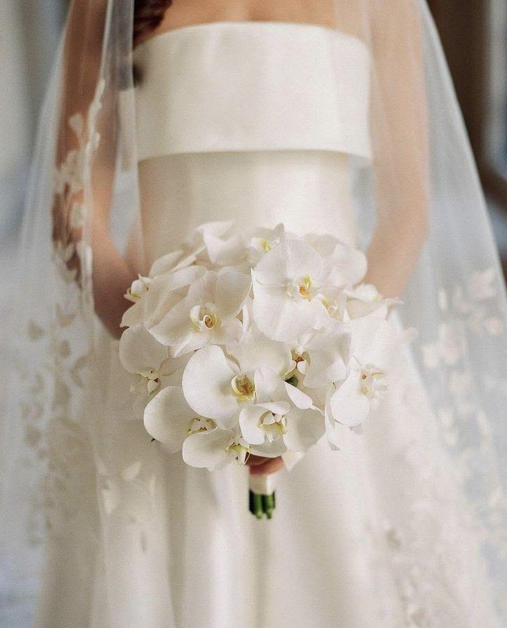 Orchids Bouquet - Graceful and exotic, this stunning bouquet of fresh orchids is the perfect expression of elegance and sophistication. Hand-selected for their beauty and long-lasting blooms. Wrapped with care and ready to impress.  