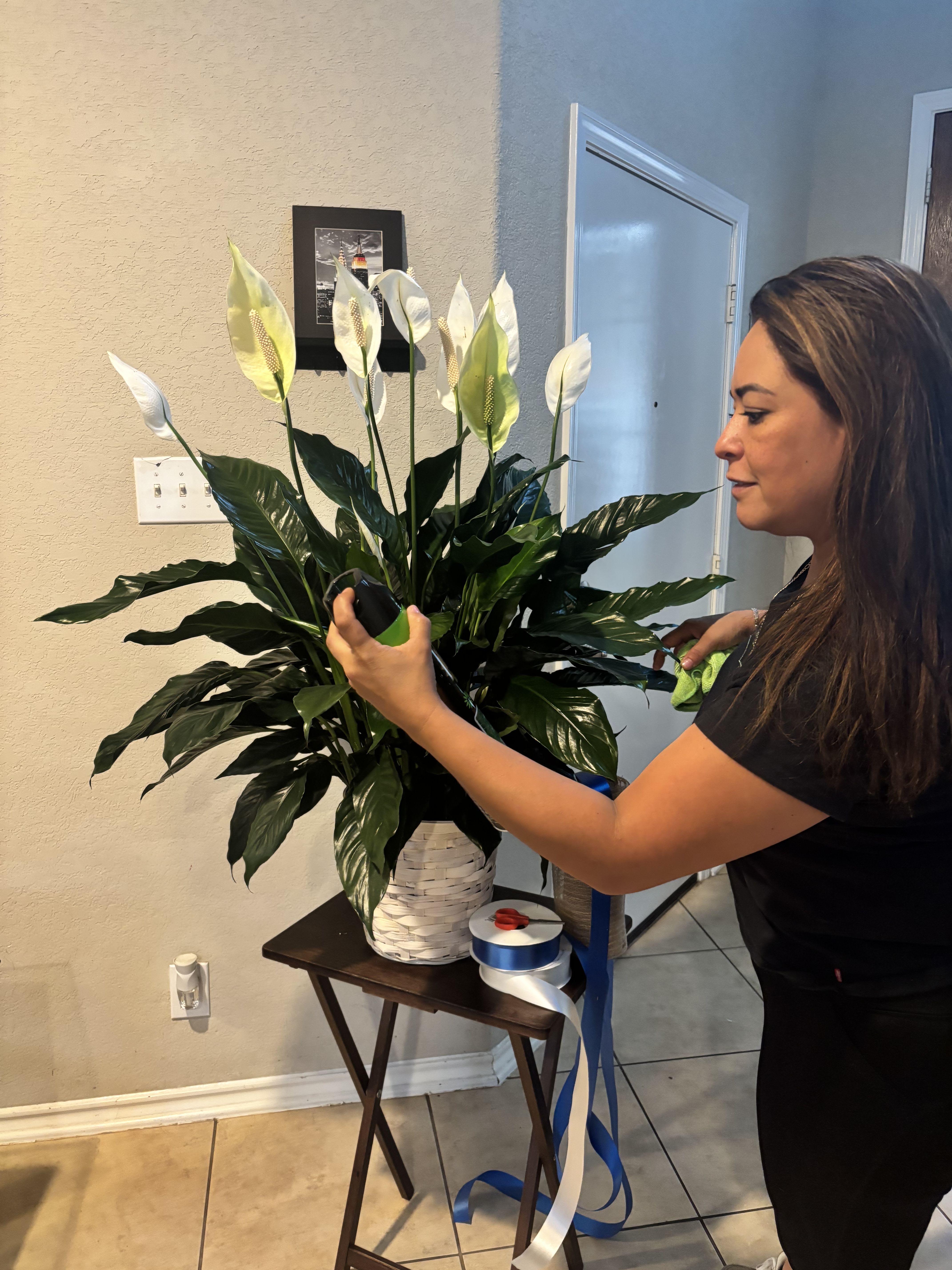 Elegant Peace Lily Sympathy Plant - Behind the scenes at Snyder Flowers, every floral arrangement and plant gift is carefully prepared by hand with attention to detail and presentation. As a local San Antonio florist, we create fresh flower arrangements, Peace Lily plants, sympathy gifts, birthday flowers, and custom designs for delivery throughout San Antonio and nearby communities including Stone Oak, Alamo Heights, Shavano Park, Hollywood Park, and Medical Center.