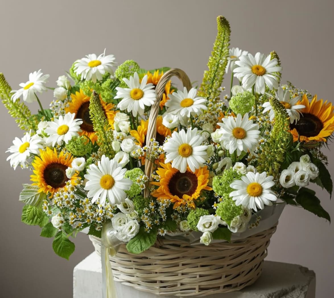 Basket arrangement of sunflowers, white daisies, and green blooms