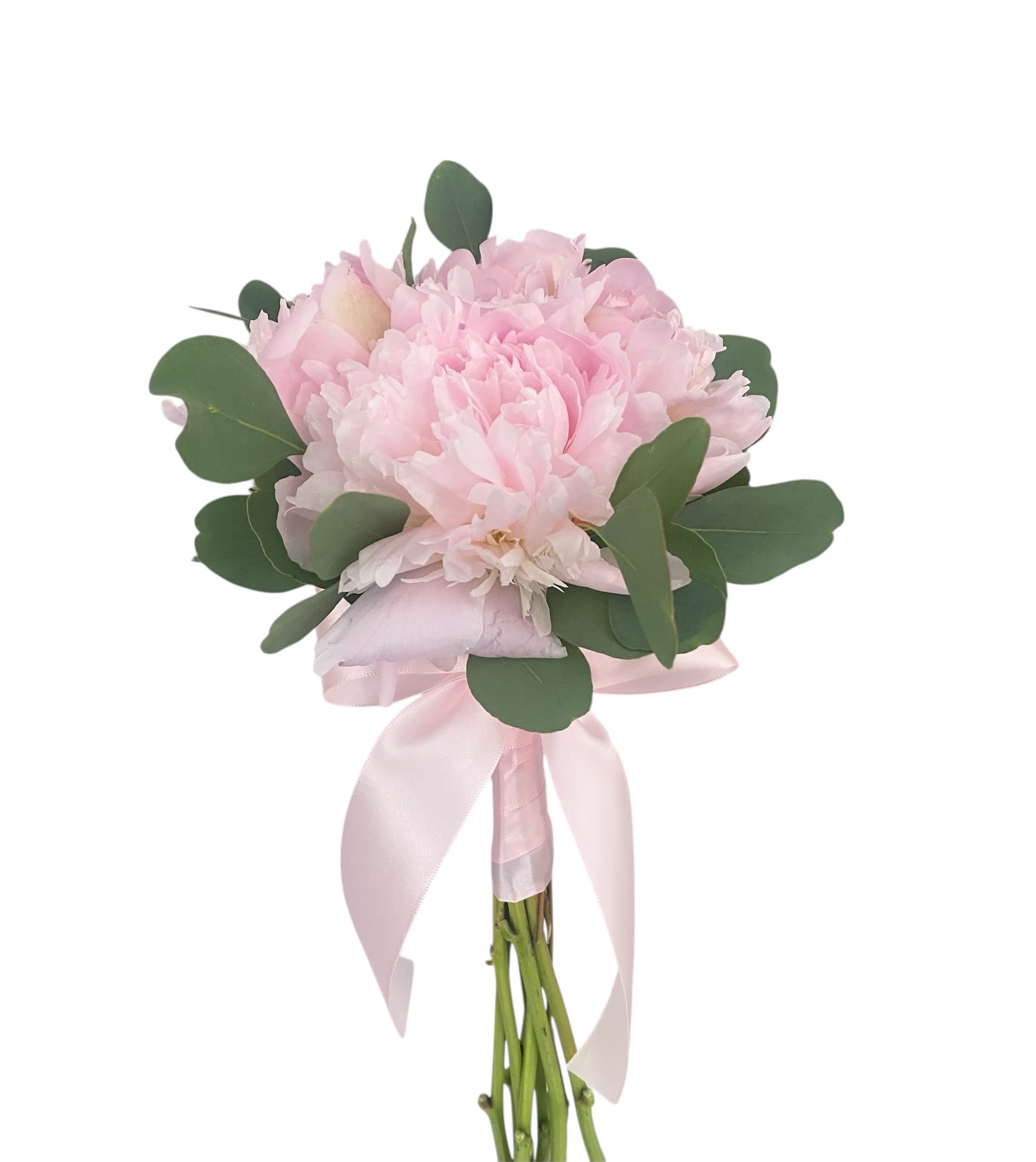 Pink peony bouquet with eucalyptus and a pink ribbon