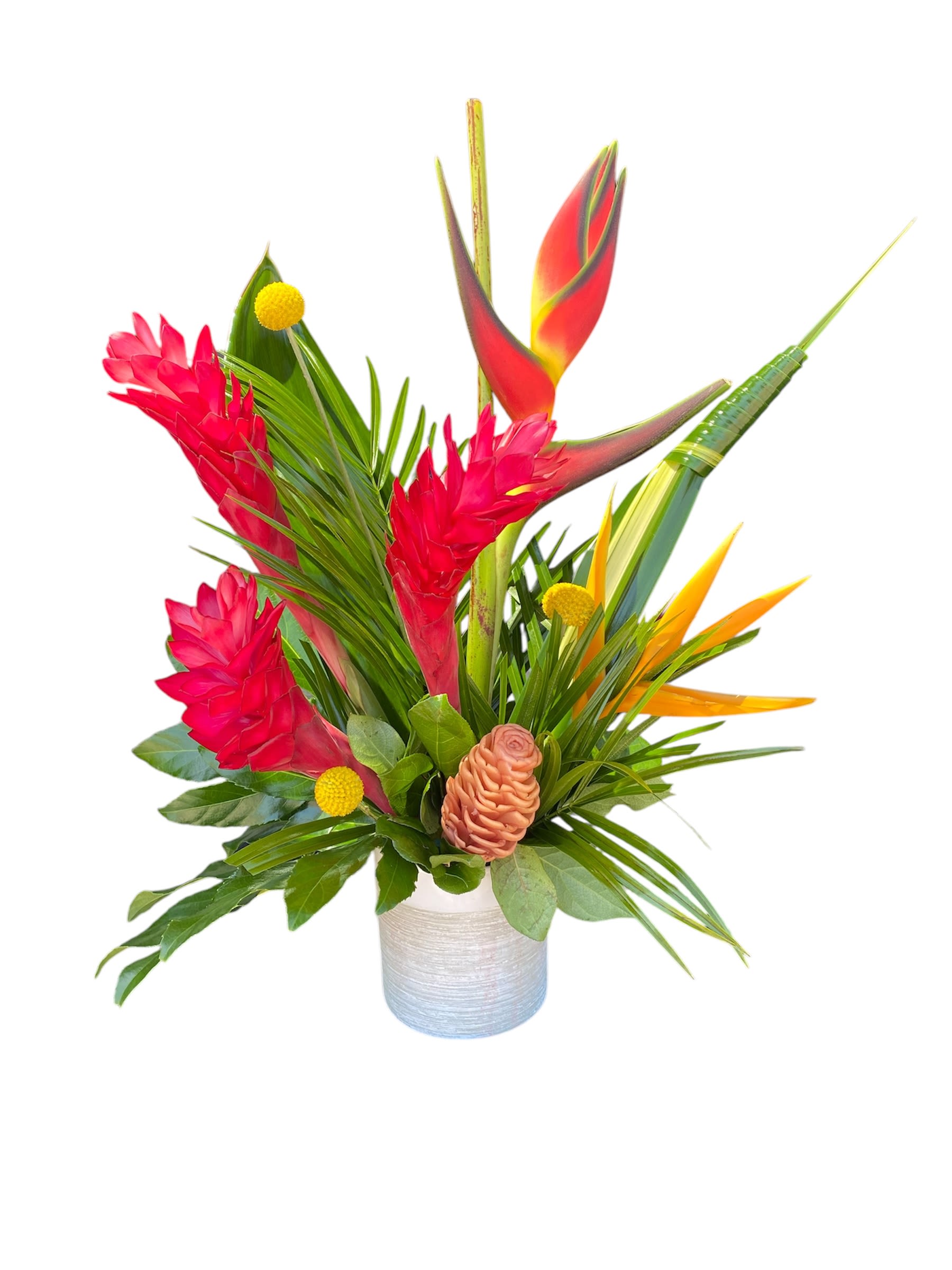Tropical arrangement with red ginger, bird of paradise, and a white vase