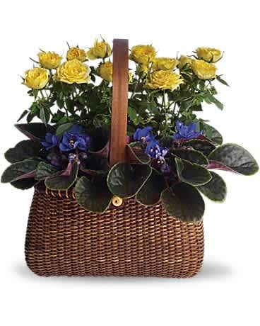 Yellow roses in a woven basket with purple violets