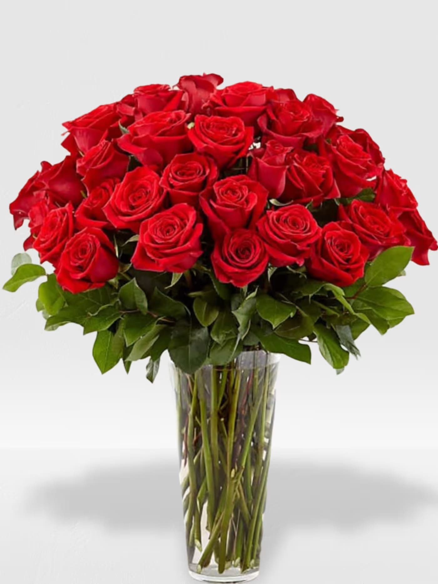 36 Red Rose's in a vase (NO BABY BREATH) - 36 red Roses in a vase, Deluxe 48 Roses, Premium 60 Roses 