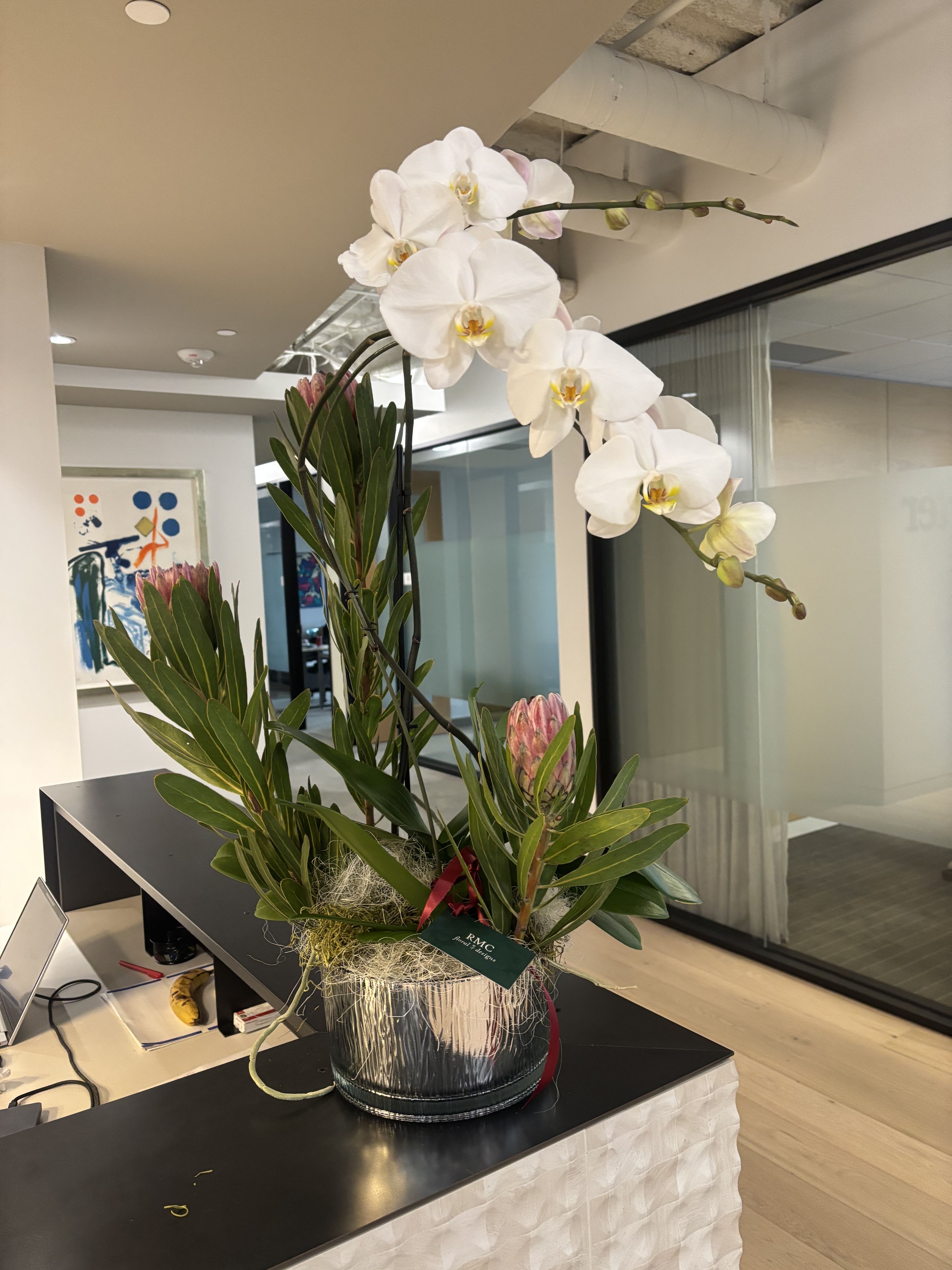 White orchid arrangement in a glass vase with pink protea blooms