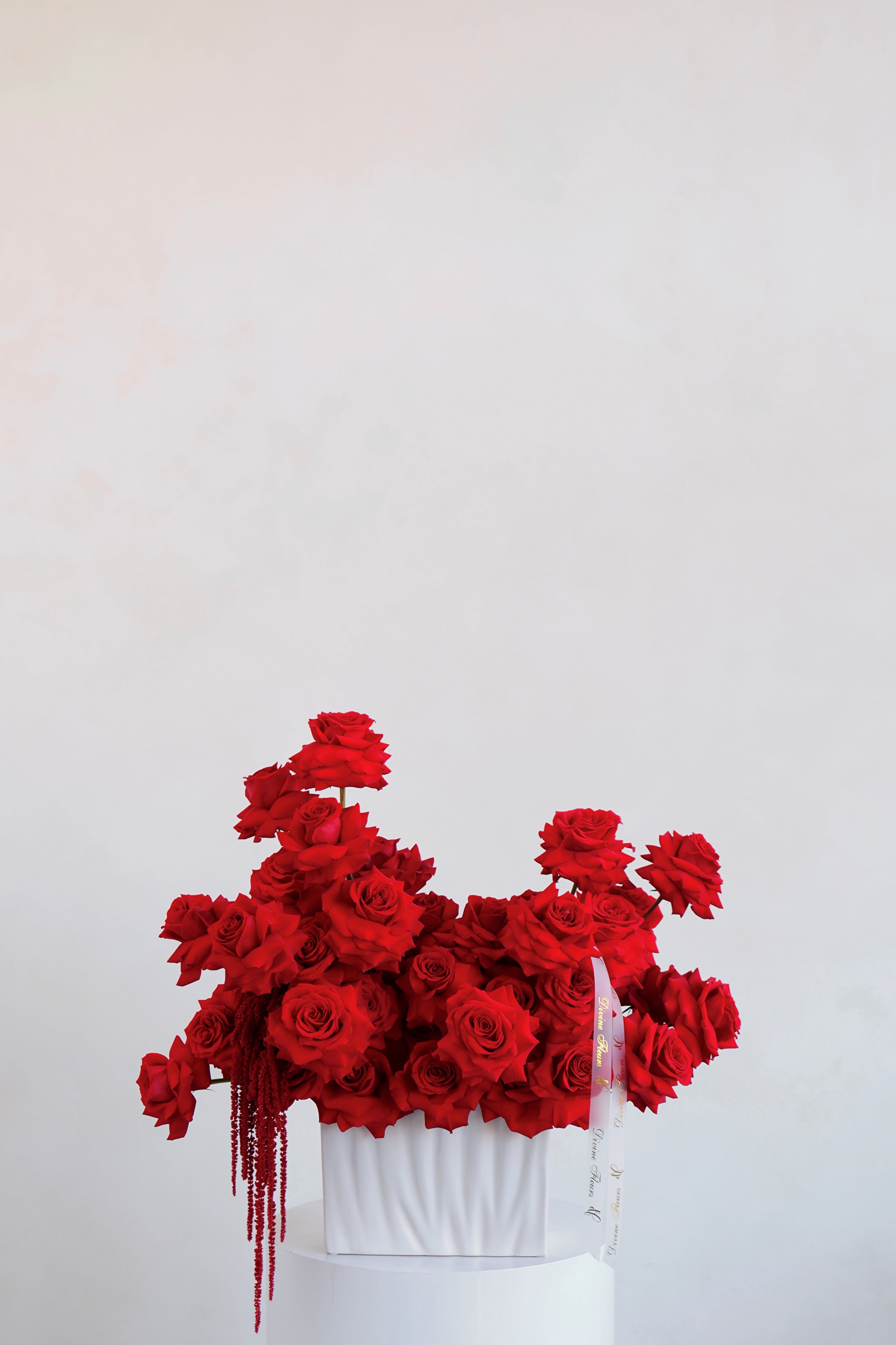 Amour - Premium red roses in a modern white vase — timeless, elegant,