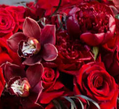 Red roses with dark burgundy orchids in a close-up bouquet