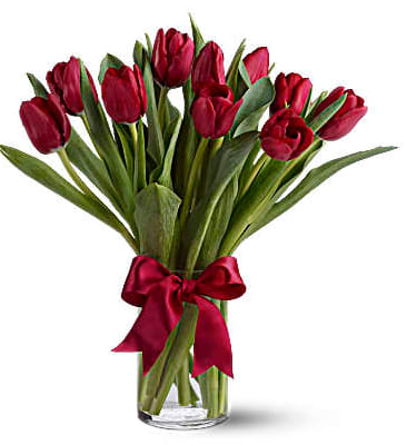 Red tulips in a clear glass vase with a red ribbon
