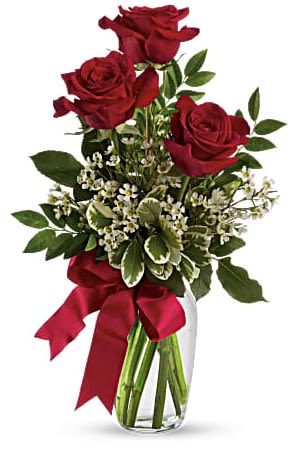 Red roses in a clear glass vase with a red ribbon
