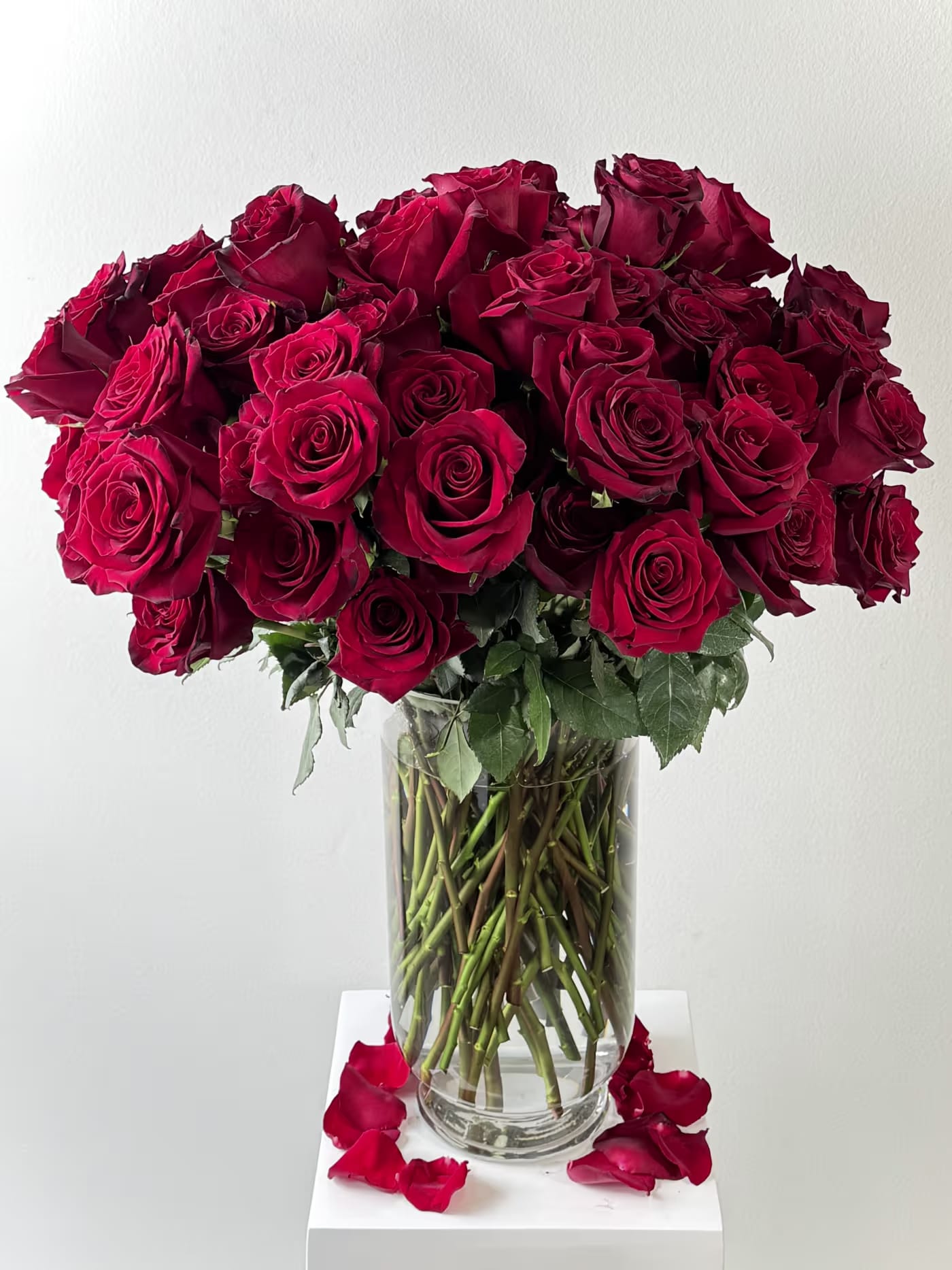 100 Red Roses - Make a lasting impression with this stunning arrangement of 100 premium long-stem red roses, expertly designed by Flower Synergy. Each rose is carefully selected for its deep red color, lush petals, and superior quality, creating a timeless expression of love and elegance.  Featuring extra-long stems measuring approximately 34 inches in height, this luxurious rose arrangement offers a dramatic, full presentation ideal for anniversaries, romantic gestures, weddings, Valentine’s Day, and milestone celebrations. Hand-arranged by our skilled florists, these premium red roses are crafted to highlight their natural beauty and deliver maximum visual impact.  This classic red rose arrangement is perfect for those seeking luxury flowers, long-stem roses, and high-end floral design in Orange County. Whether you are celebrating a special occasion or sending a grand romantic statement, these 100 long-stem red roses are designed to impress and inspire.