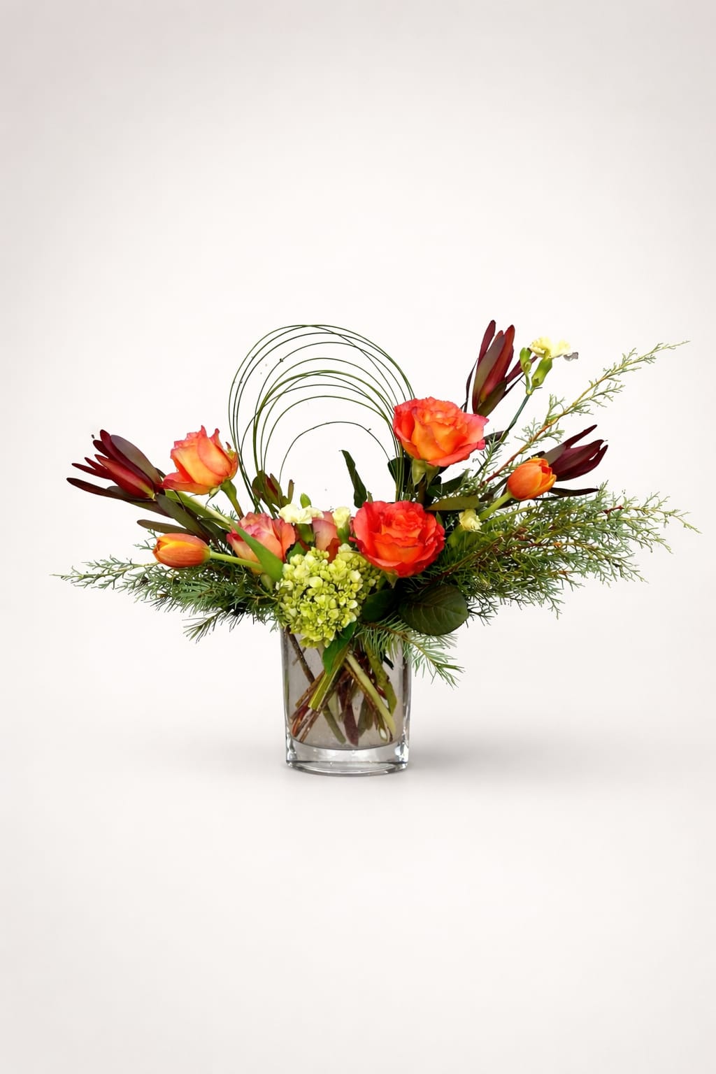 Winter Citrus - Winter Citrus is a bright, modern floral arrangement designed to bring warmth to the colder months. Coral roses, tangerine tulips, and deep burgundy accents create a vivid citrus-inspired palette, balanced with seasonal evergreens and soft hydrangea. Sculptural arcs of bear grass give the design a clean, contemporary silhouette, making this centerpiece ideal for winter décor, holiday gifting, or refreshing any room with a burst of color.  Crafted to bring light and energy into the season, Winter Citrus blends winter greenery with warm-toned blooms for a fresh, uplifting arrangement that feels at home on holiday tables, kitchen counters, or entryway displays.