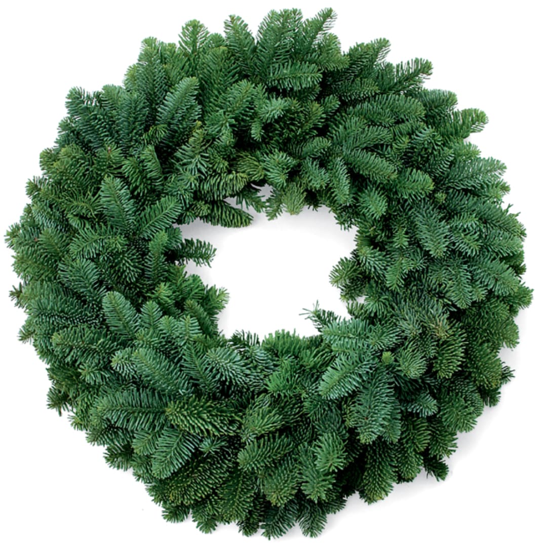 Green evergreen wreath on a white background