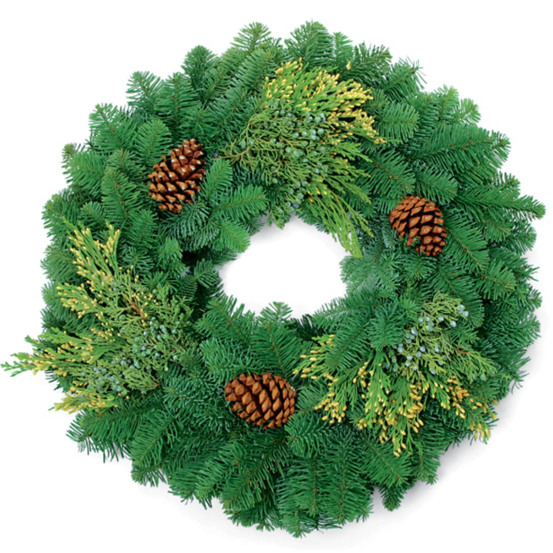 Evergreen wreath with pinecones on a white background