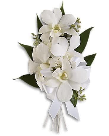 White orchid bouquet with ribbon and dark green leaves