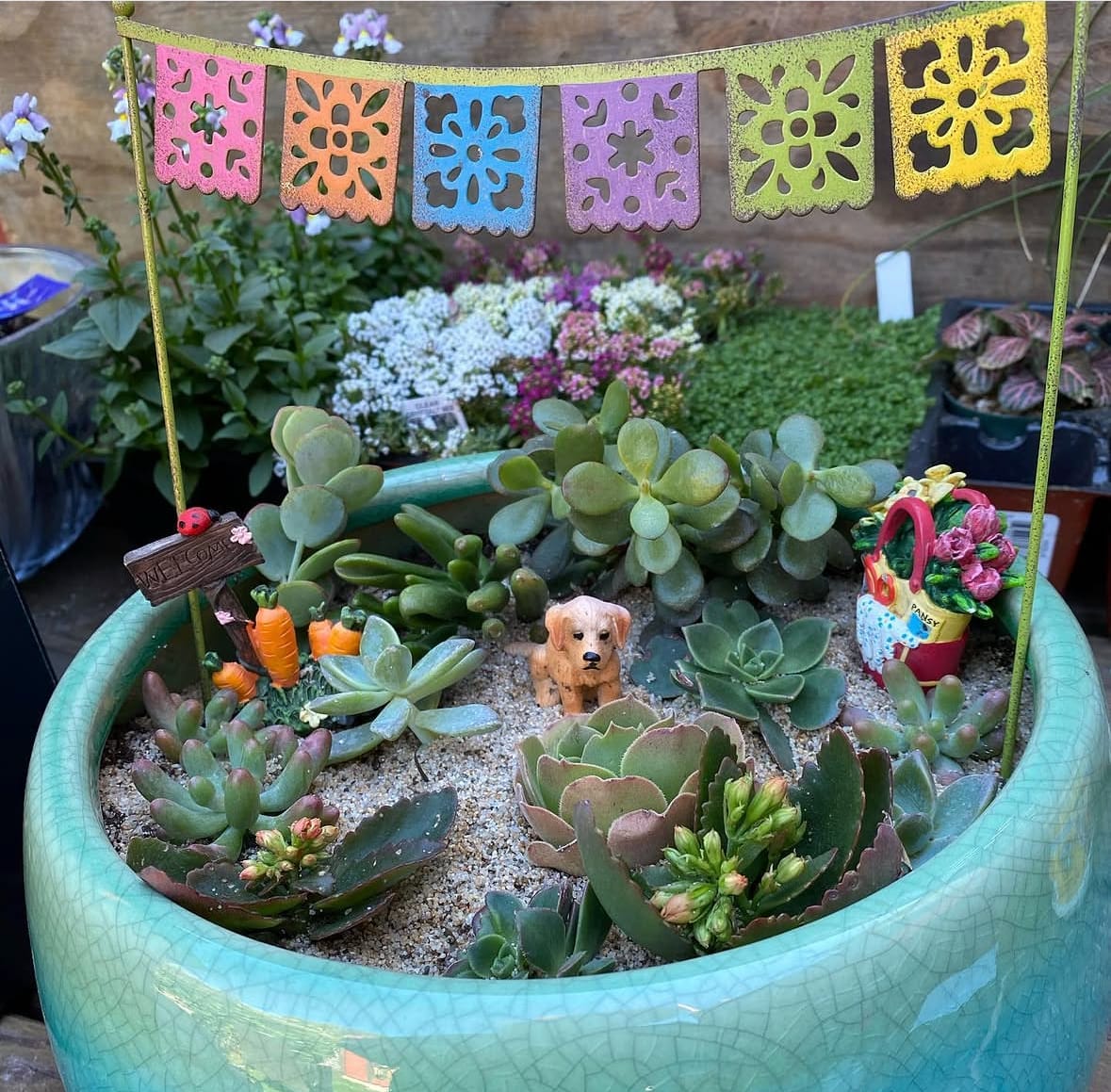Sympathy Succulent - Sympathy Succulent
