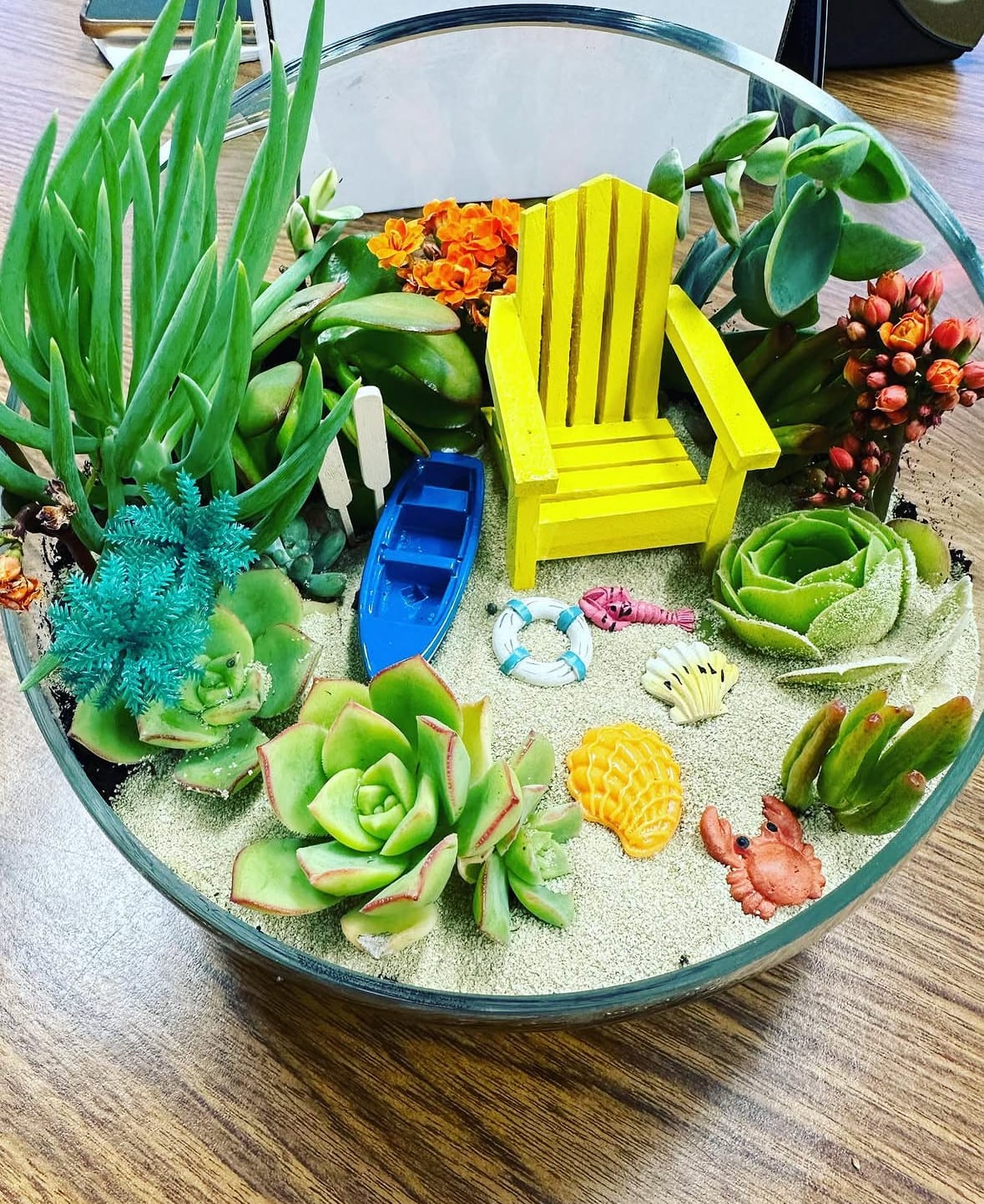 Beach Summer Succulent - Beach Summer Succulent