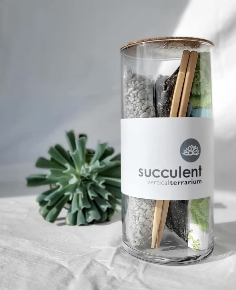A glass terrarium kit with a succulent and decorative stones
