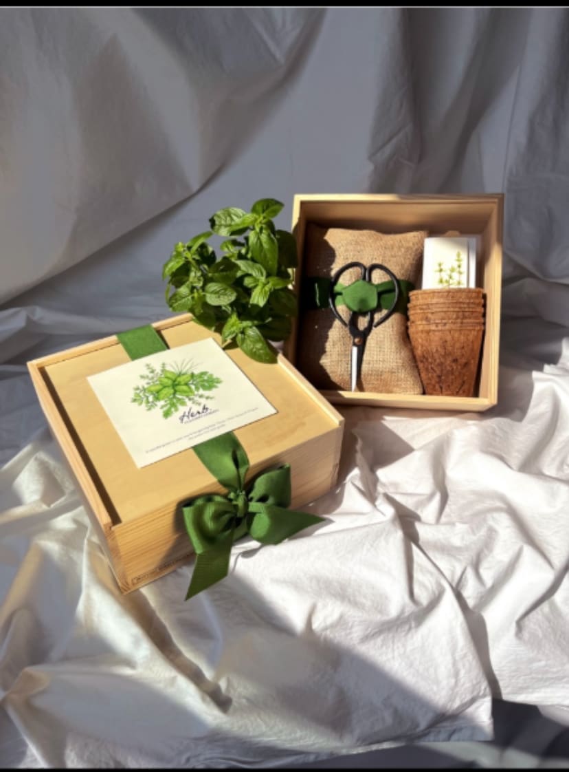 Gift box with a potted herb plant and gardening tools