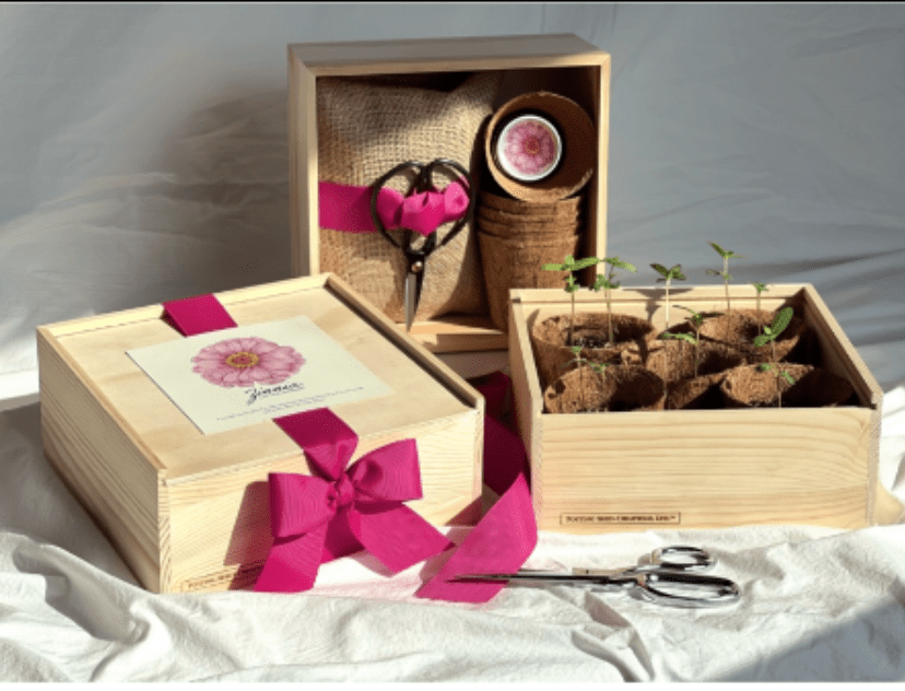 Wooden gift boxes with seedling pots, ribbon, and scissors