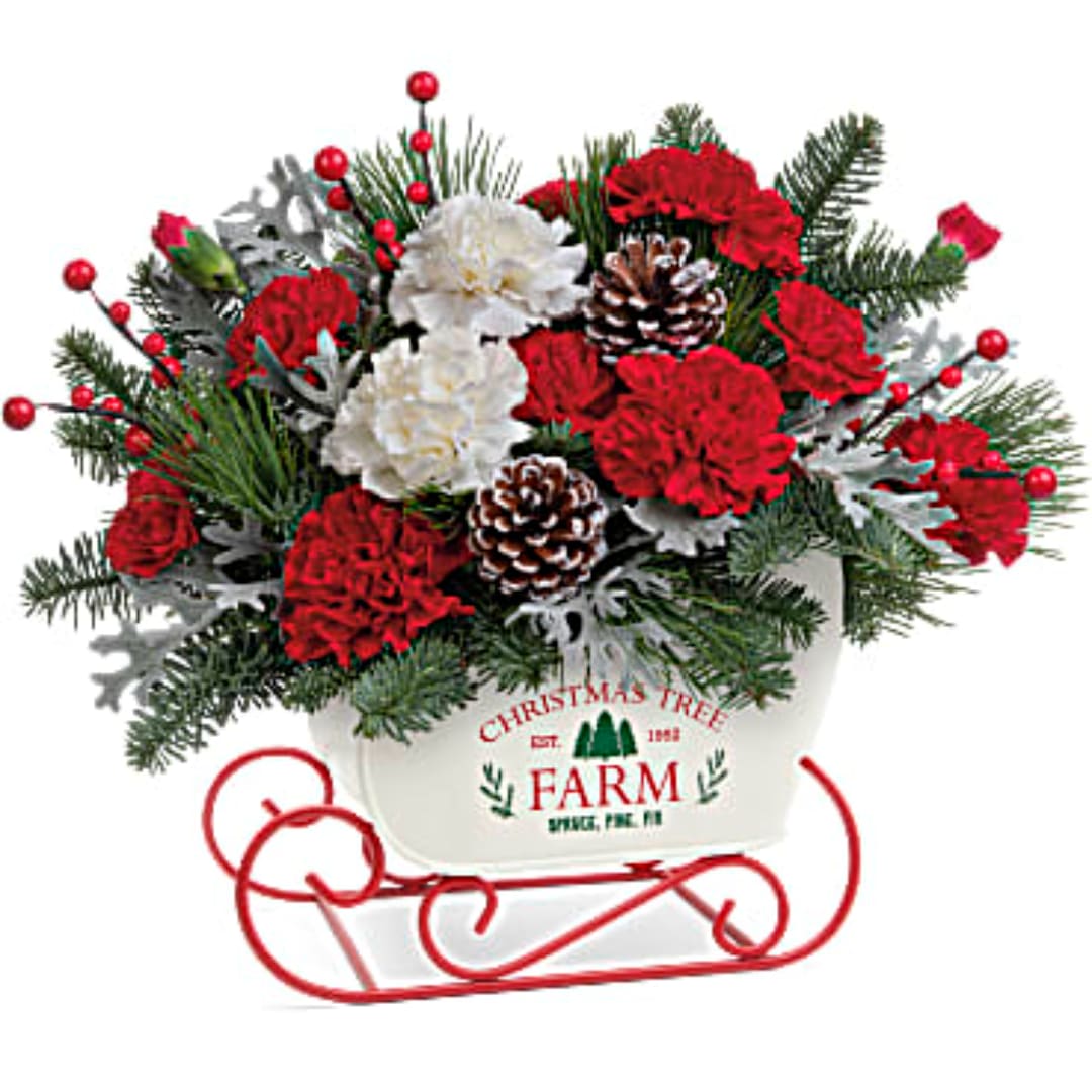 Christmas arrangement with red and white carnations in a sleigh planter