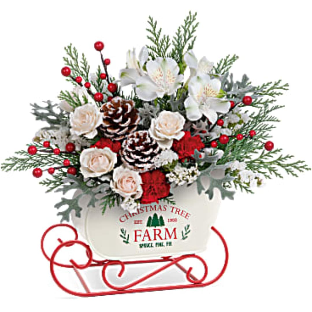 Christmas arrangement with white flowers, pinecones, and red berries in a sleigh container