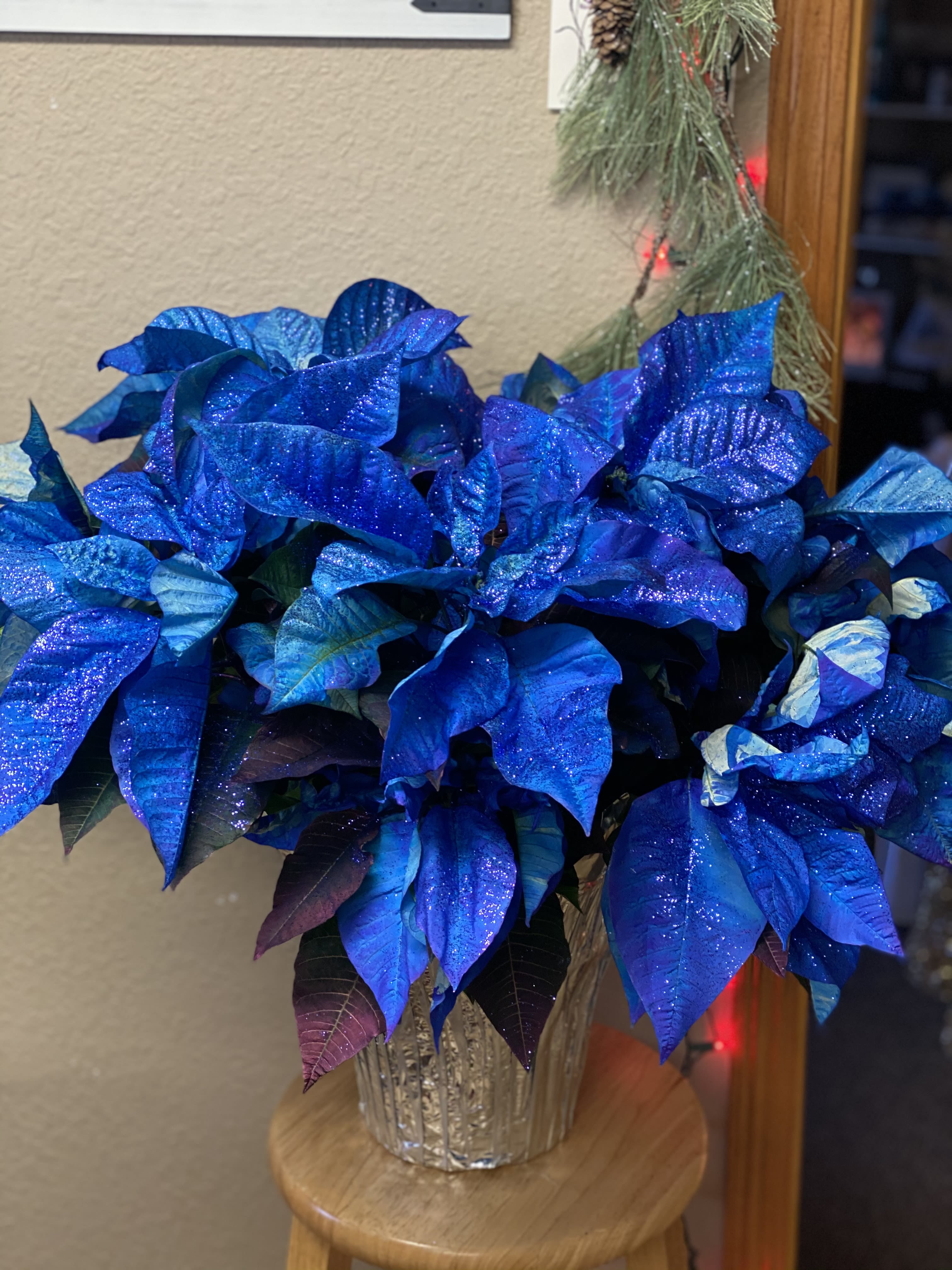Blue glitter poinsettia arrangement in a clear vase