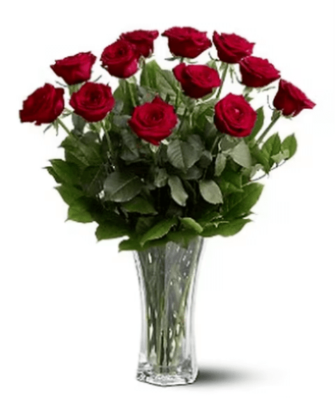 Red roses arranged in a clear glass vase