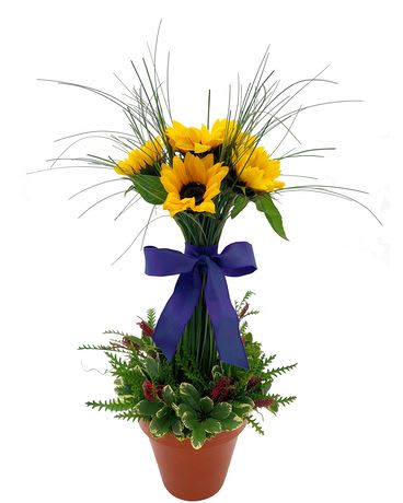 Sunflower arrangement in a terracotta pot with a purple ribbon