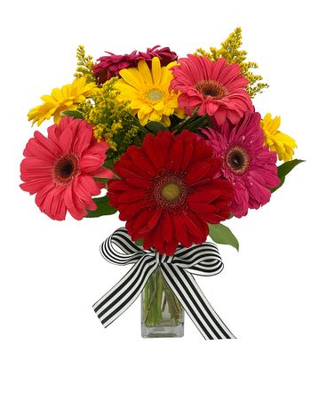 Bright gerbera daisy bouquet in a glass vase with a striped ribbon