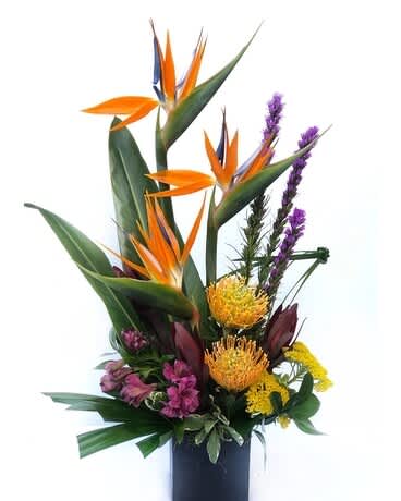 Tall tropical bouquet with orange bird of paradise and purple accents in a dark vase