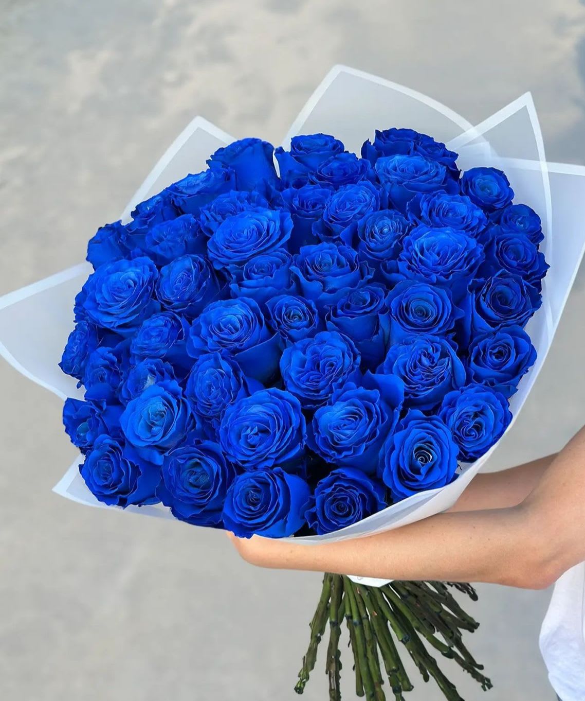 Blueberry bouquet- unique blue rose bouquet  - Picture shows deluxe size 50 roses. 
