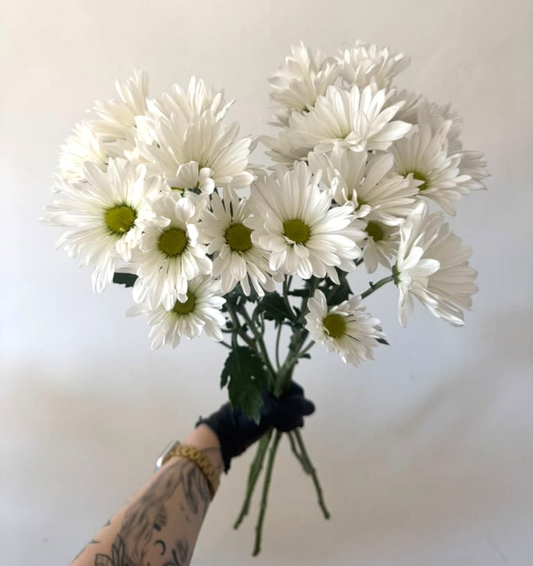 Bunch of white daisy  -  Cheerful, fresh, and timeless, our White Daisy Bunch brings effortless beauty to any space. These classic blooms are loved for their bright white petals and sunny centers, making them a perfect choice for everyday enjoyment, thoughtful gifts, or simple home décor. wrapped in kraft paper for a natural flower market look, each bunch is sold as fresh-cut flowers ready to be placed in your favorite vase. Simple, beautiful, and always in season. 