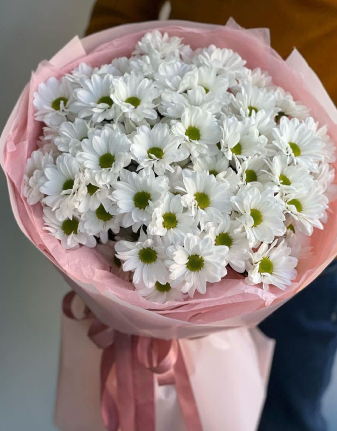 Bouquet of white daisies wrapped in pink paper