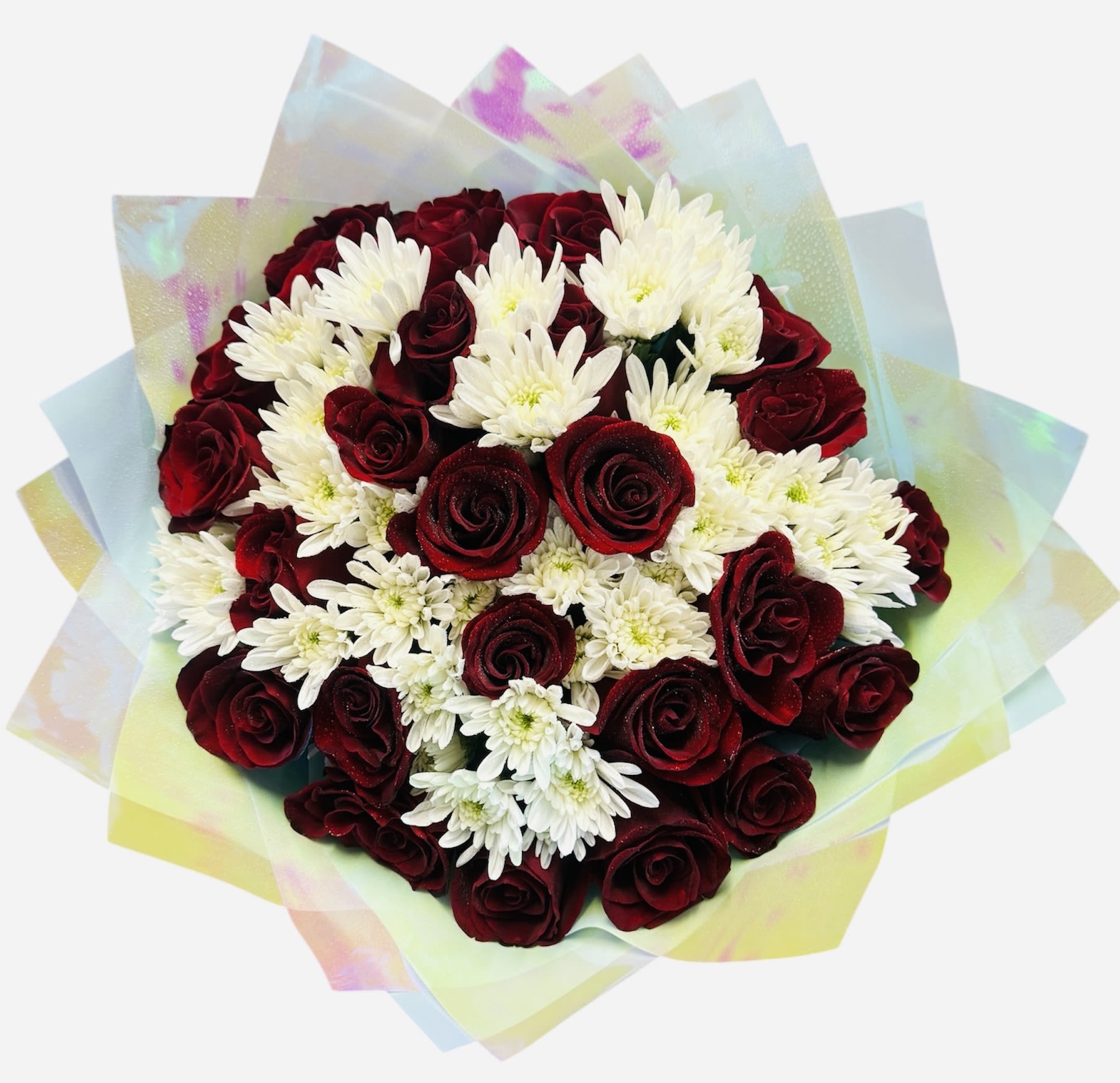 Bouquet of red roses and white daisies wrapped in pastel iridescent paper