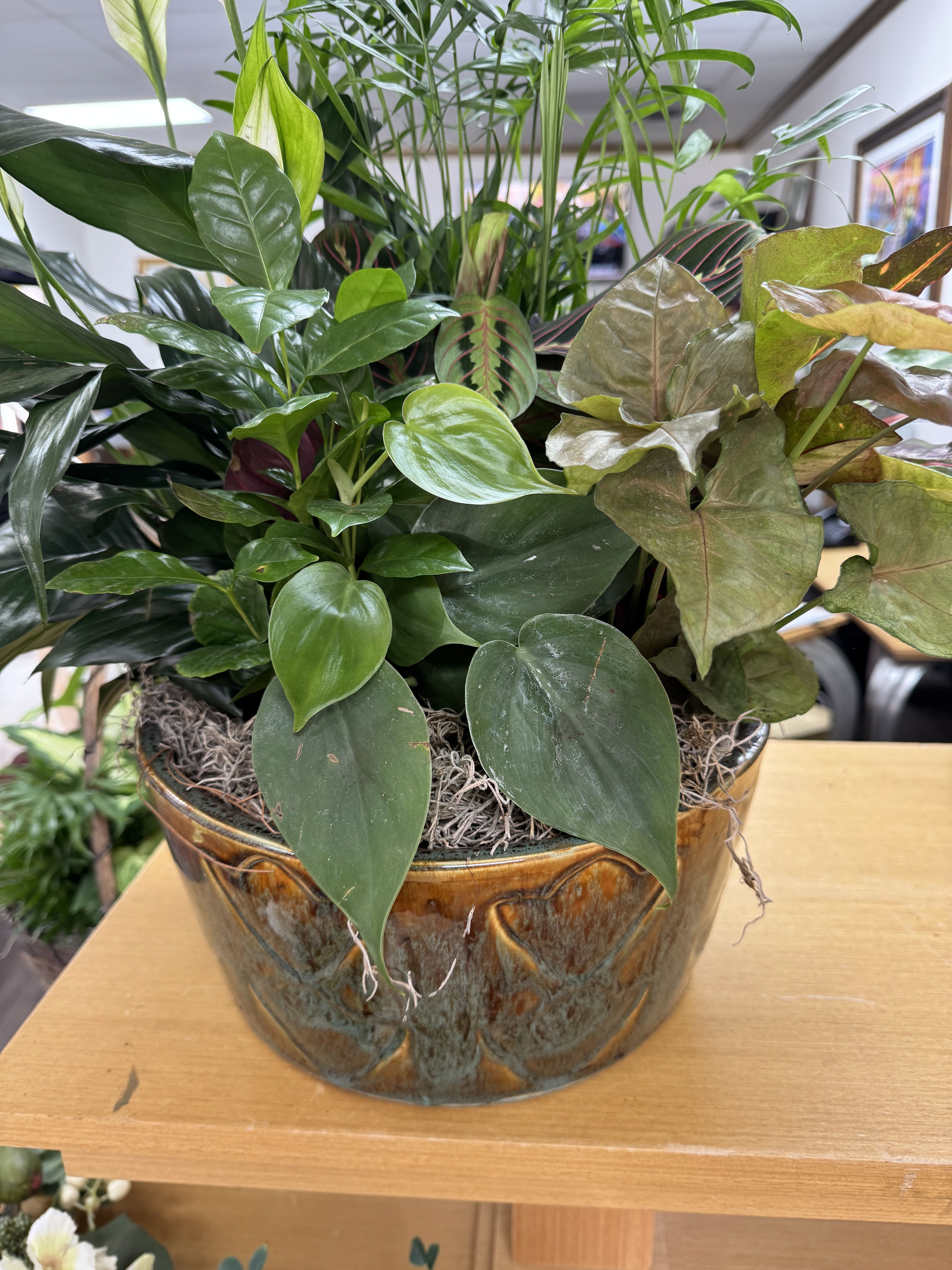 Mixed green houseplants arranged in a ceramic bowl planter