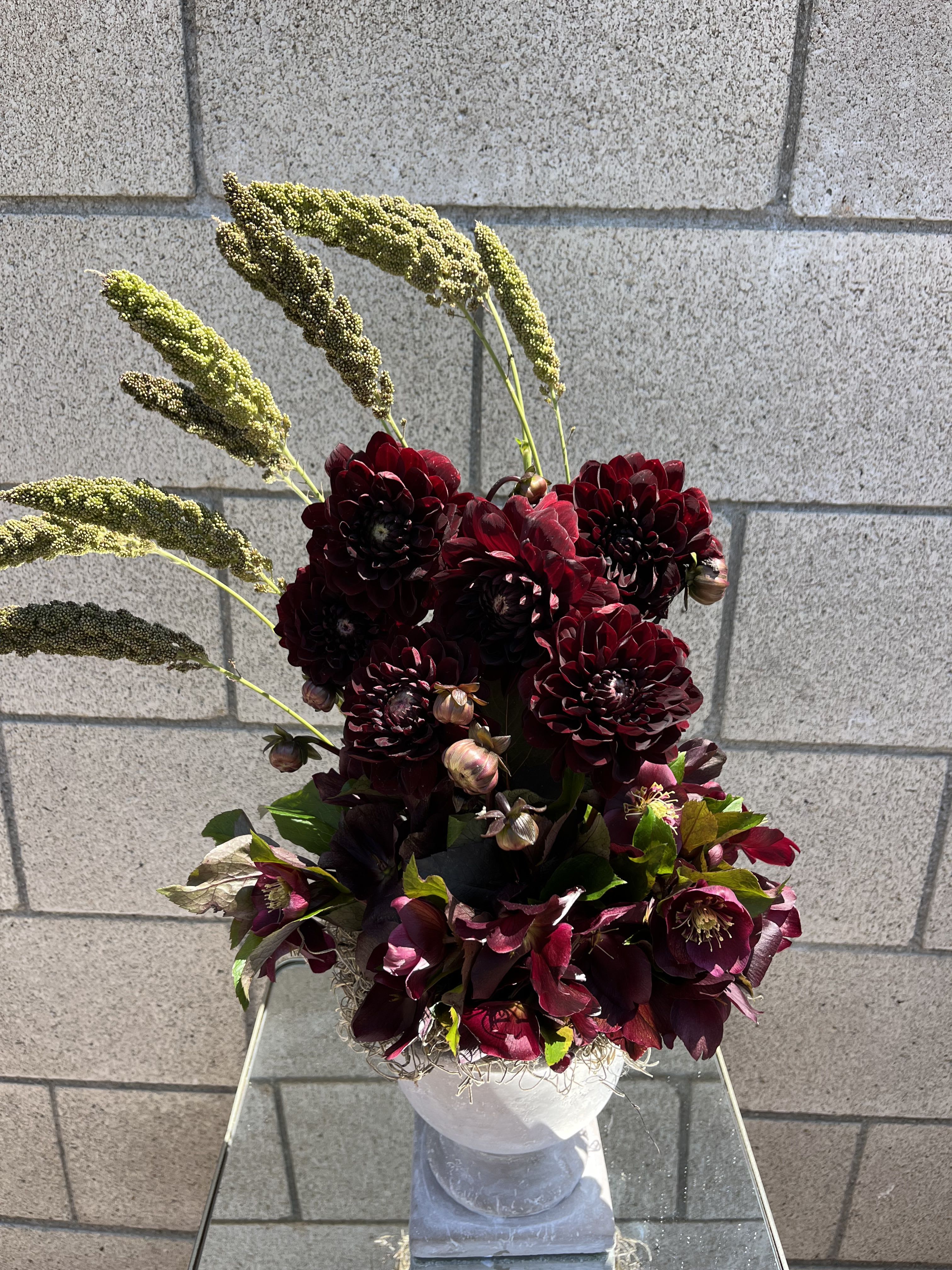 Fine Wine - Beautiful dahlias nestled in a bed of beautiful deep burgundy hellebores. 