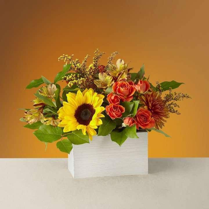 Golden Hour Bouquet - Shorter days mean less time to wait before stunning sunsets paint the horizon with amber hues like the Golden Hour bouquet. Better yet, picture having the happy sunflowers and blooming orange spray roses under the glow of autumn dusk. These flowers may even inspire you to wake up early for the dawn golden hour!   --   Shorter days mean less time to wait before stunning sunsets paint the horizon with amber hues like the Golden Hour bouquet. Better yet, picture having the happy sunflowers and blooming orange spray roses under the glow of autumn dusk. These flowers may even inspire you to wake up early for the dawn golden hour!
