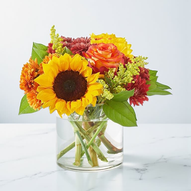 Flannel Scarf Bouquet - Warm up with the colors of the season in the Flannel Scarf Bouquet, a crisp arrangement perfect for all of life’s moments.   DETAILS  The Deluxe Bouquet is approximately 11"H x 12"W. Designed by florists, ready to display. For long–lasting blooms, replace the water daily. We suggest trimming the stems every couple days. Pet Safety Precautions: This bouquet or plant may include flowers and foliage that are known to be toxic to pets. To keep them safe, be sure to keep this arrangement out of your pet's reach. BLOOM DETAILS  Sunflower Rose Daisy Size:&nbsp;  The Standard Bouquet is approximately 10"H x 10"W. The Deluxe Bouquet is approximately 11"H x 12"W. The Premium Bouquet is approximately 12"H x 13"W. 