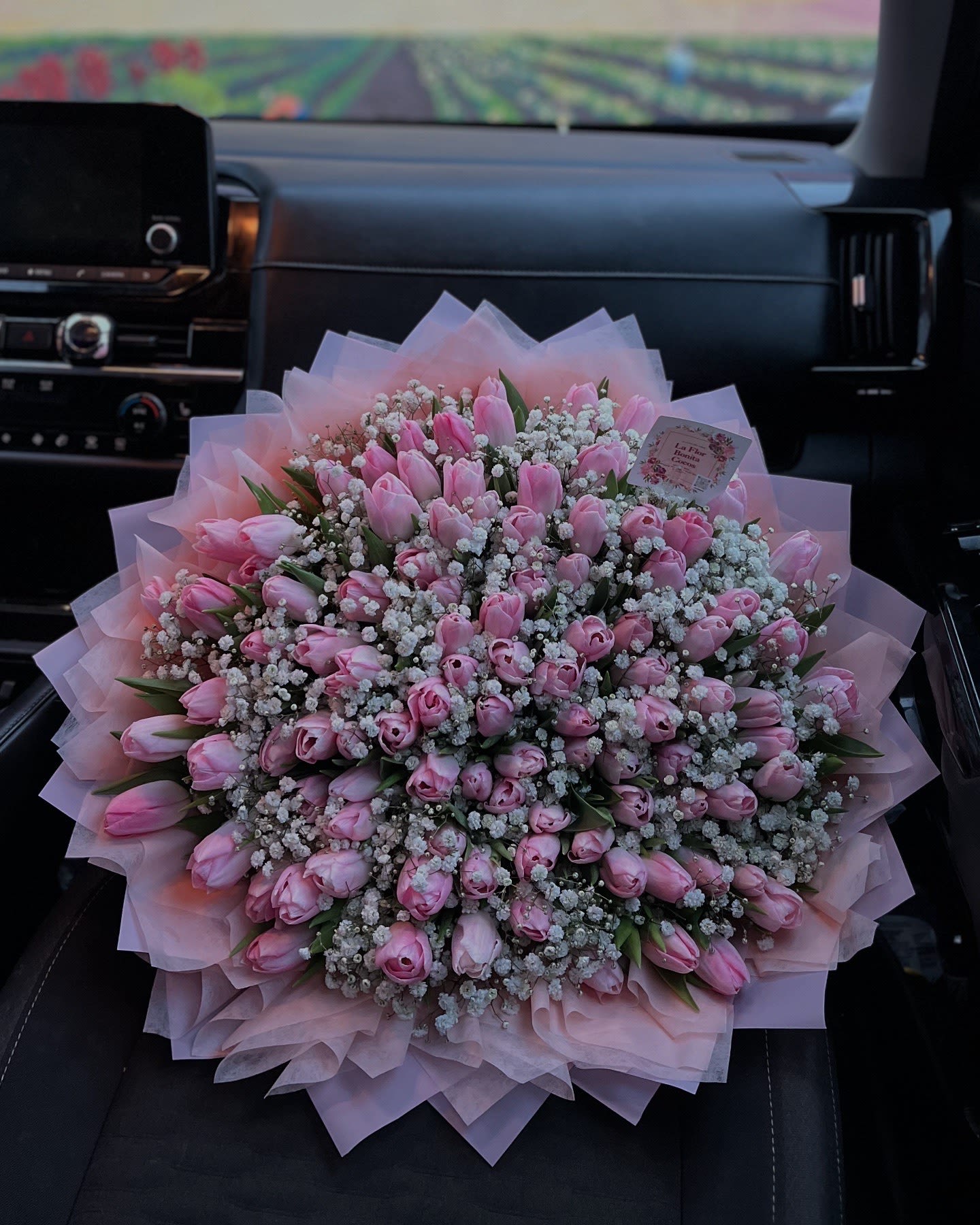 Large bouquet of pink tulips and baby's breath wrapped in pale pink paper