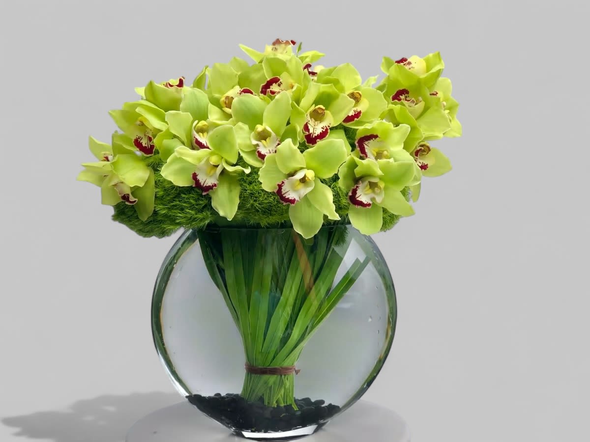 Vert - This modern, monochromatic arrangement showcases vibrant green Cymbidium Orchids, framed with green Trick Dianthus in a fisheye glass vase
