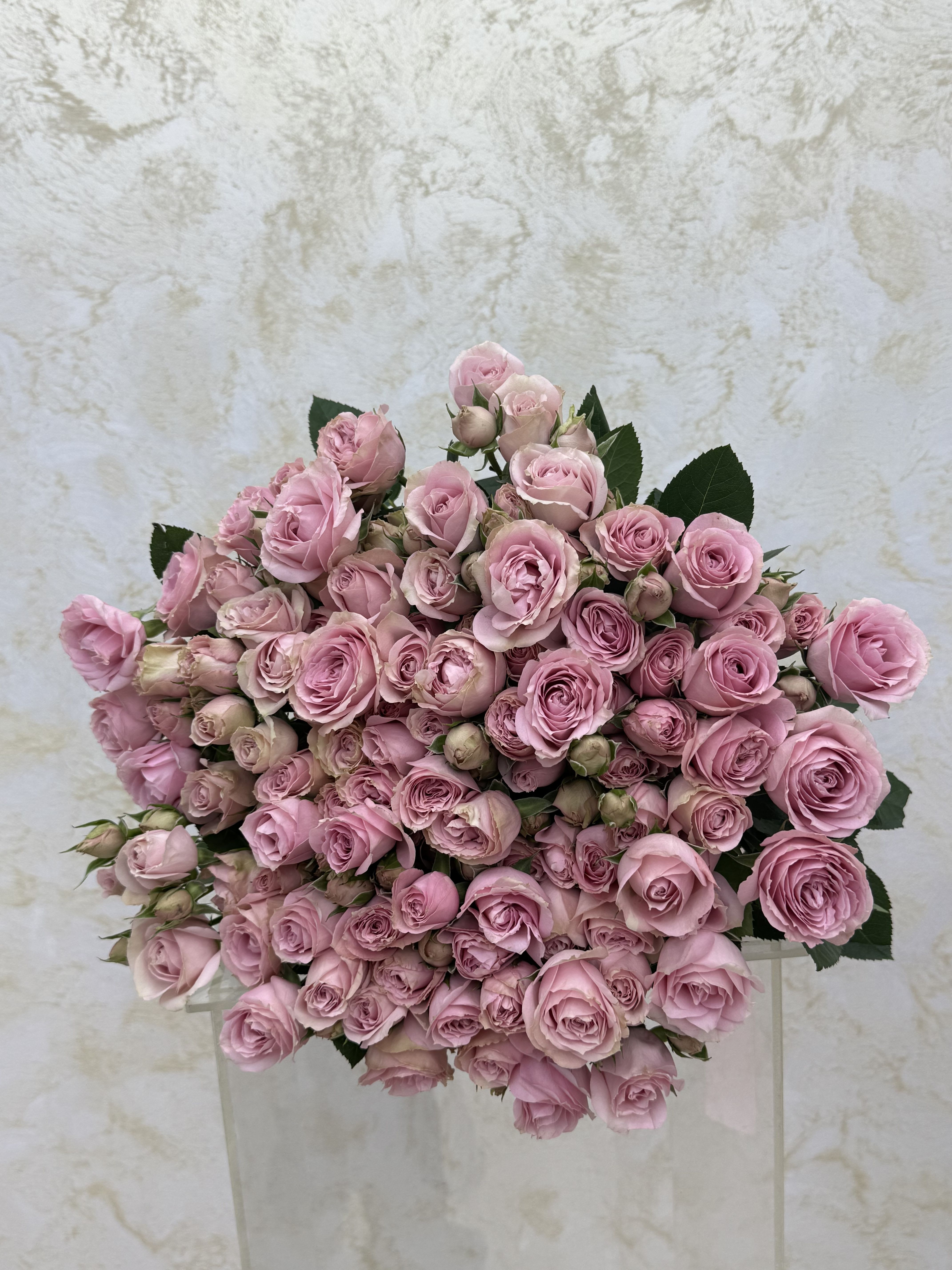 Large bouquet of pink roses with dark green leaves