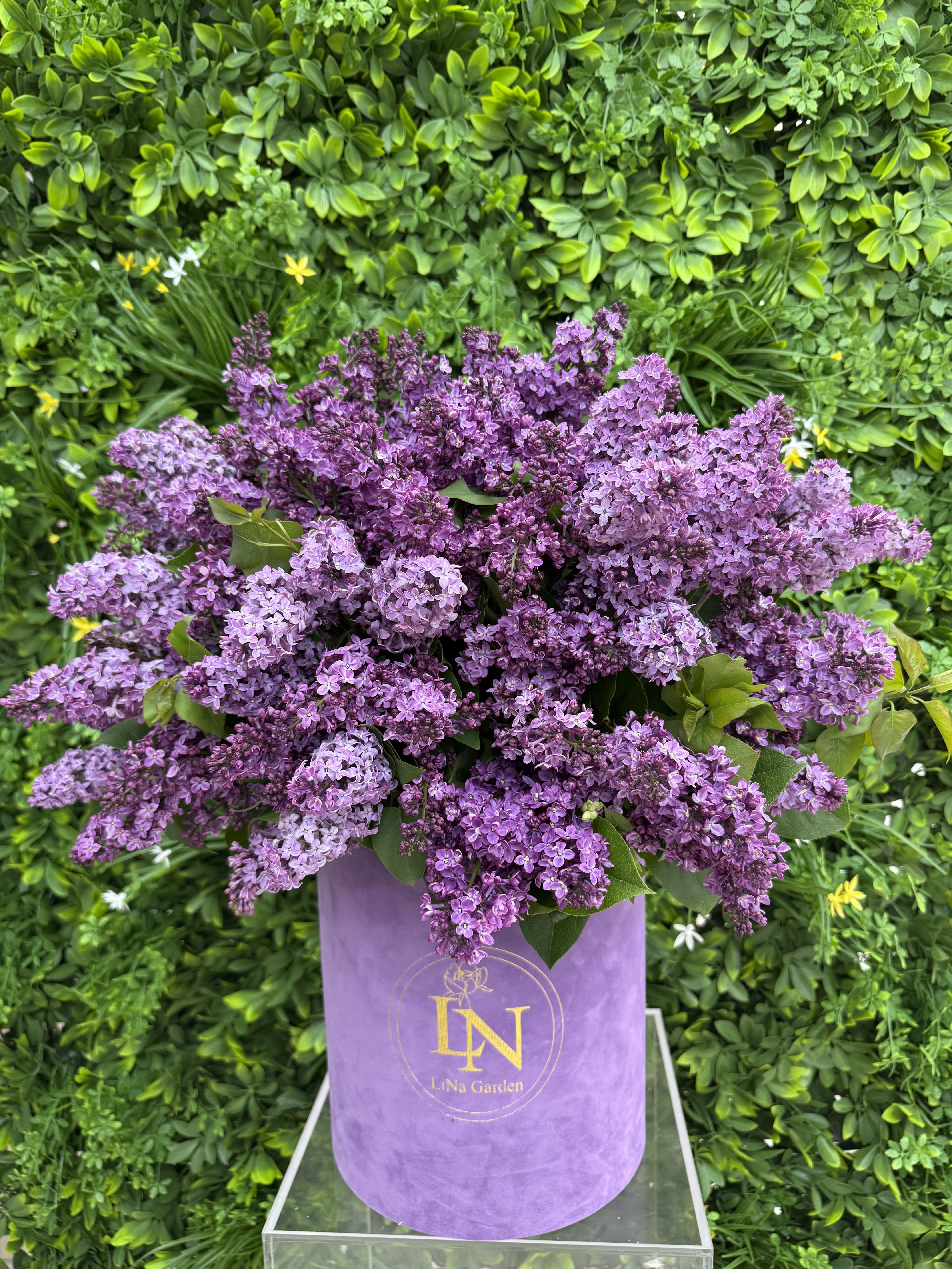 Purple lilac-style flowers densely arranged in a tall lavender hatbox container against a green foliage backdrop