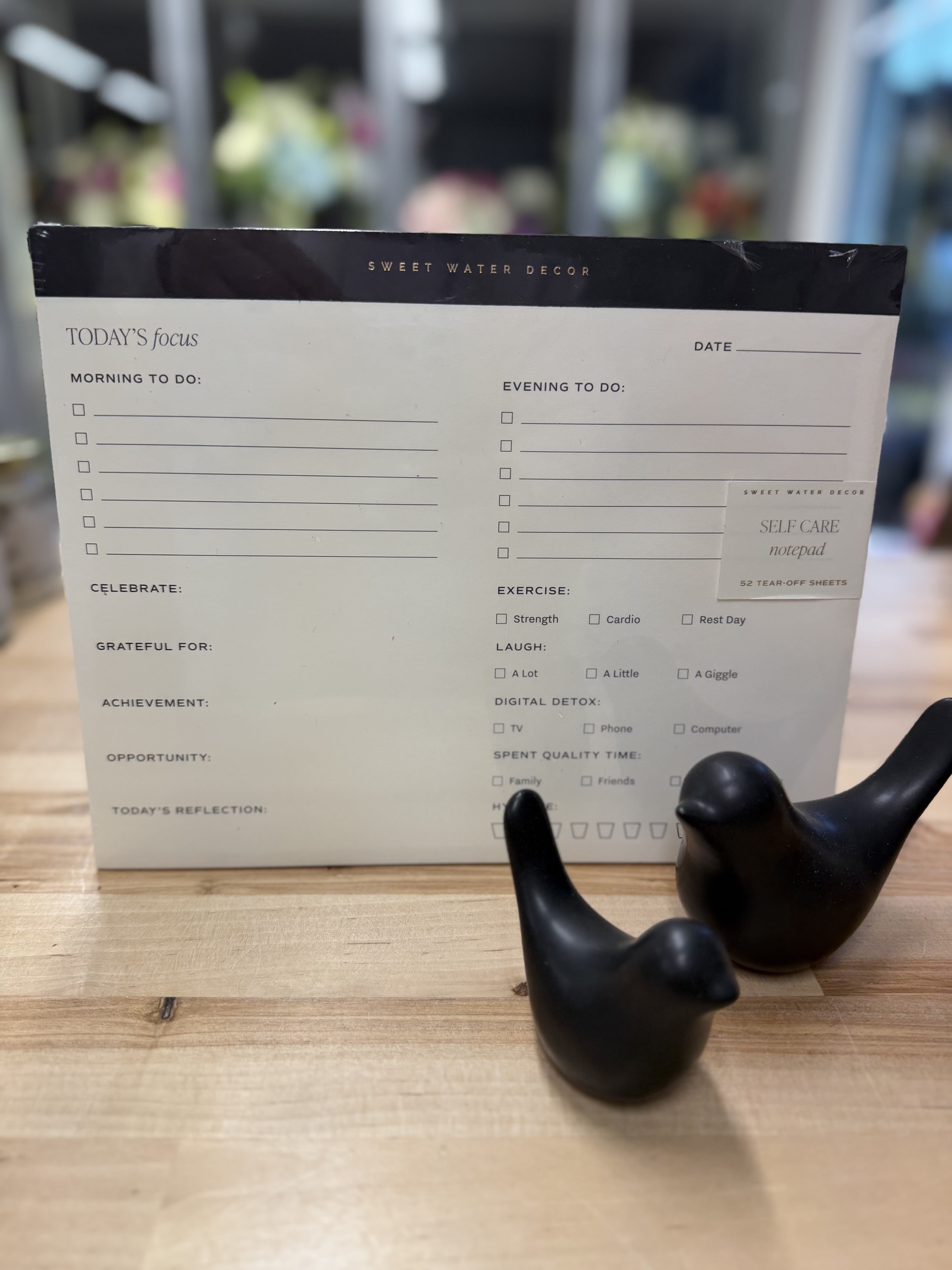 Self Care Notepad - Self Care Notepad, a thoughtful addition to any desk or home workspace. Featuring sections for to-do lists, reflections, hydration, movement, and mindful moments, it’s designed to keep wellness and daily tasks in check. 
