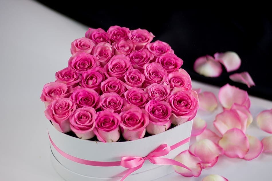 Round box of pink roses with a pink ribbon