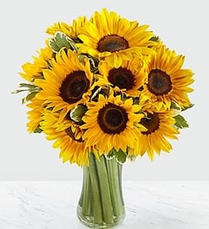 SPECIAL** SUNFLOWER HEAVEN VASE  - Sunflowers in a vase.