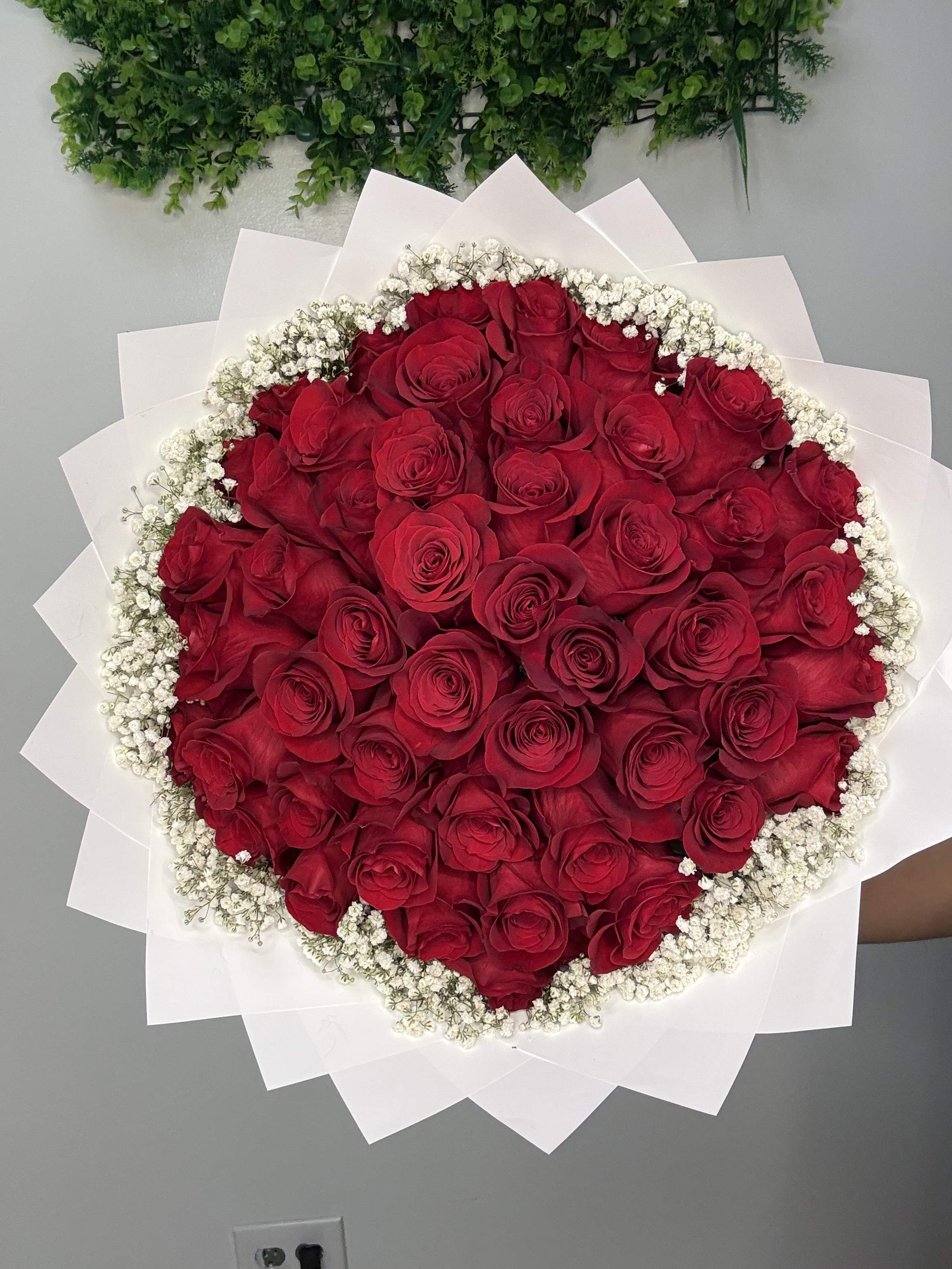 Round bouquet of red roses edged with white baby's breath and white wrap