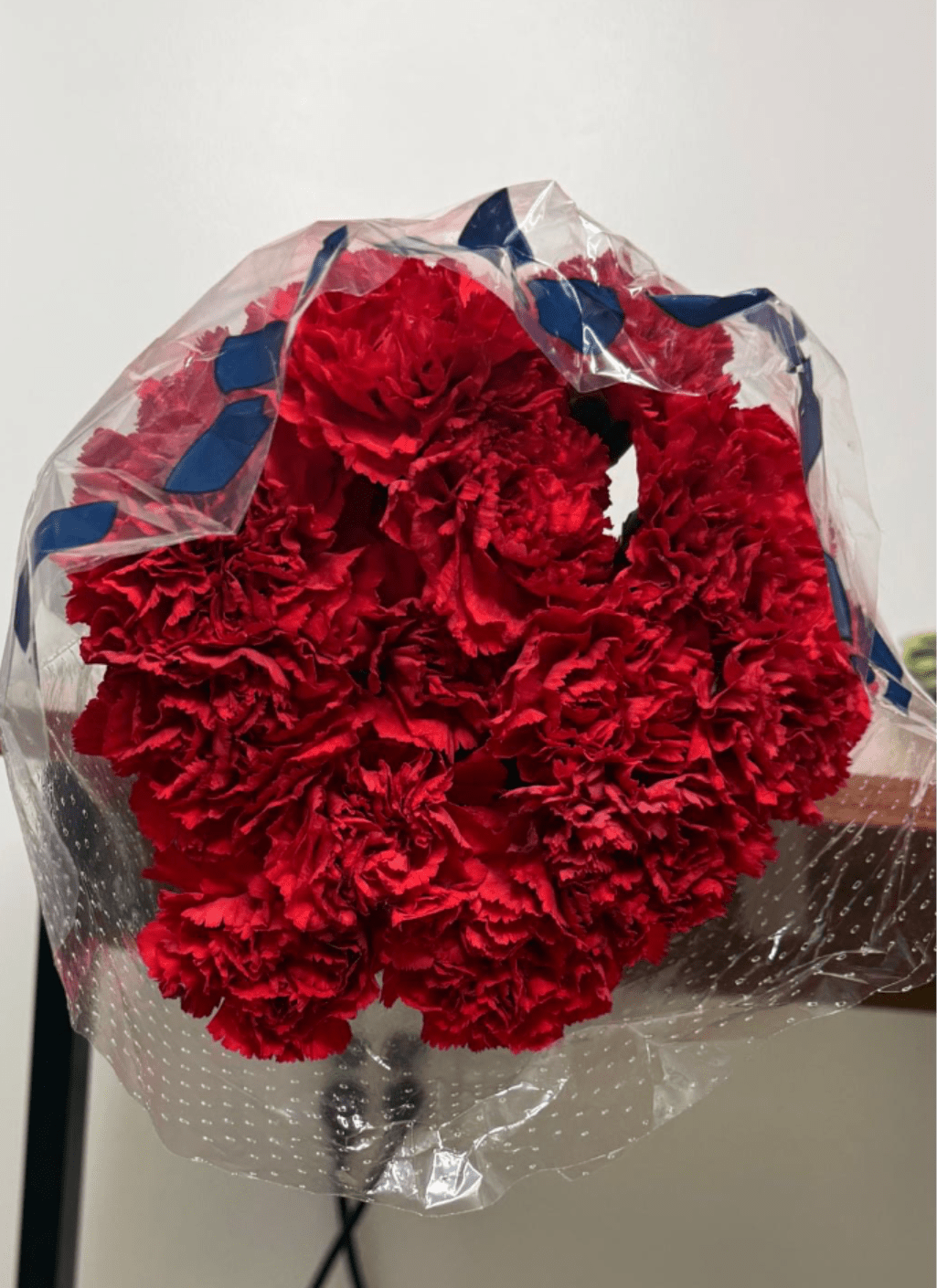 Bouquet of red carnations wrapped in clear plastic with blue ribbon