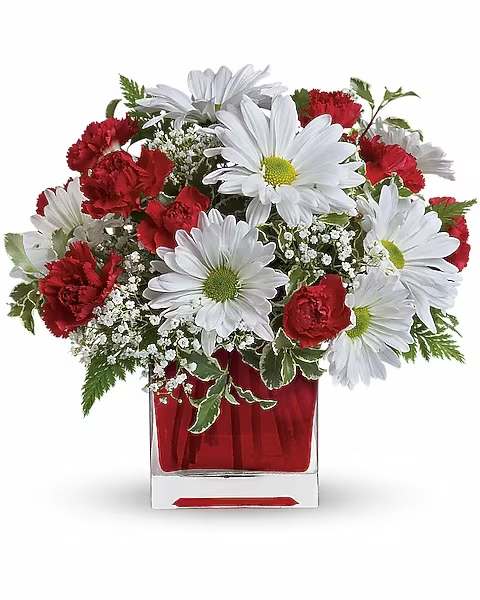 Red carnations and white daisies in a red glass vase